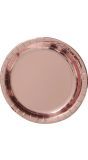 6 papieren eetborden roségoud rond