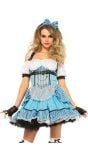 Alice in Wonderland carnaval pakje