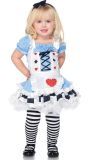 Alice in wonderland kostuum kind