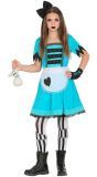 Alice in Wonderland meisjes outfit