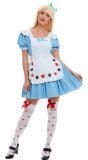 Alice in Wonderland pakje dames