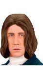 Amadeus pruik bruin
