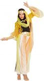 Arabische buikdanseres kostuum