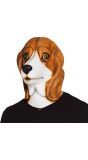 Beagle masker latex