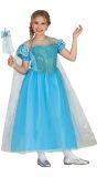 Blauwe Elsa Frozen prinses outfit meisjes