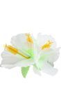 Bloemen haarclip hibiscus wit