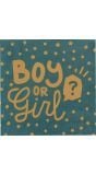 Boy or girl gender reveal servetten 20 stuks