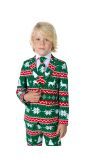 BOYS Festive Green suit Jongens Opposuits