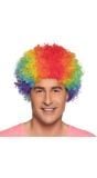 Clown afro pruik regenboog