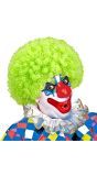 Clown pruik groen