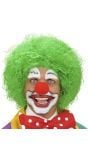 Clowns pruik groen