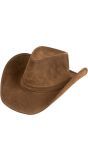 Cowboy hoed wyoming bruin