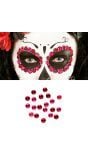 Day of the dead rode en roze edelstenen set 40 stuks