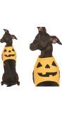 Dieren kostuum pompoen maat M halloween
