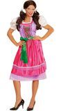 Dirndl jurk roze/groen