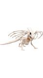 Drakenskelet Halloween Decoratie