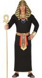 Farao kostuum goud zwart