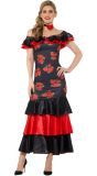 Flamenco dans outfit