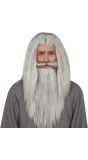 Gandalf Lord of the Rings pruik en baard