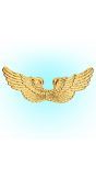 Gouden engel vleugels
