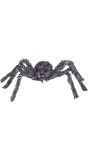 Grijze horror spin halloween 60 cm