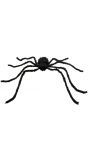 Grote harige spin decoratie zwart