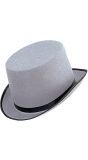 Grote hoge hoed grijs