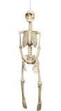 Halloween basic skelet hangend