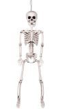 Halloween bewegend skelet wit