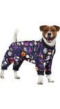 Halloween dag van de doden honden outfit