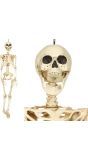Halloween hangend skelet 90cm