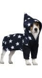Halloween tovenaar outfit hond
