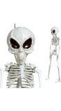 Hangdecoratie skelet alien 42 cm halloween