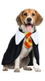 Harry Potter outfit hond