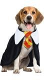 Harry Potter outfit hond