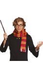 Harry Potter sjaal en bril