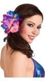 Hawaii bloemen haarclip hibiscus