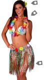 Hawaii thema set kleurig