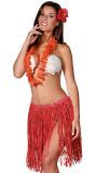 Hawaii thema set rood