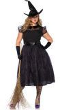 Heksen kostuum dames plus size