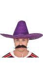 Hoge Mexicaanse sombrero paars