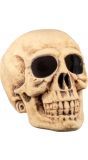 Holle schedel decoratie halloween