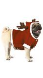 Honden kerstkostuum rendier