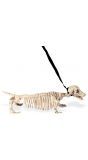 Honden skelet met riem