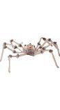 Horror spin met verlichting 80 cm halloween