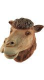 Kameel hoofdmasker