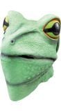 Kikker masker groen