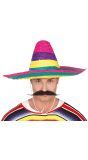 Kleurige Mexicaanse sombrero