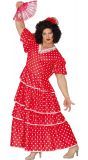 Mannelijke Spaanse danser jurk