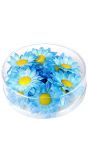 Margriet bloemen 20 stuks blauw